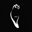 POTOO STUDIO