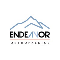 Endeavor Orthopaedics