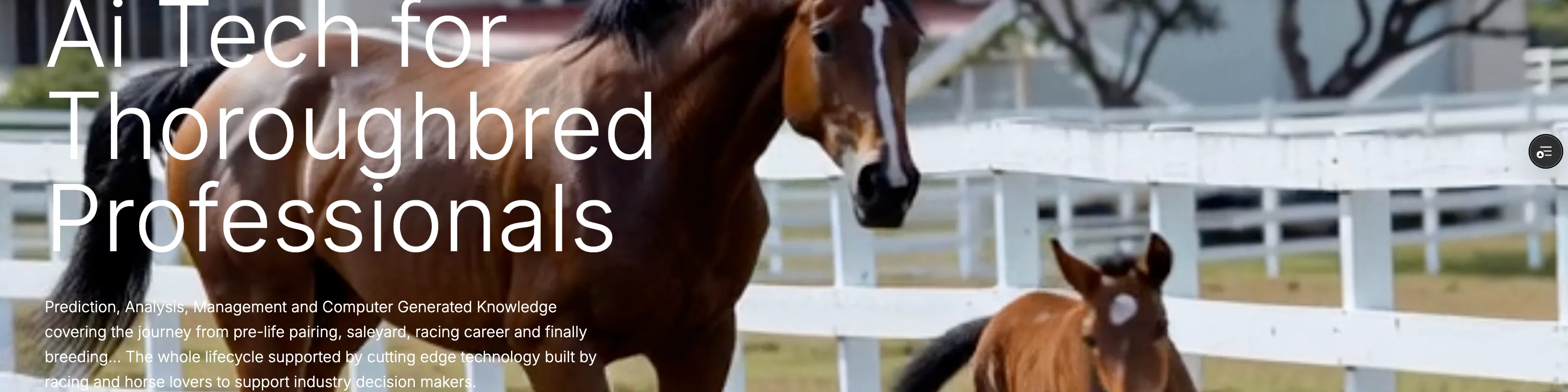Thorougbred AI/data Hub. 